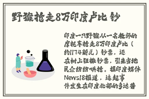 芒果回家不迷路最新版本更新内容